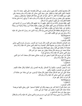 البخاري ومسلم 4919