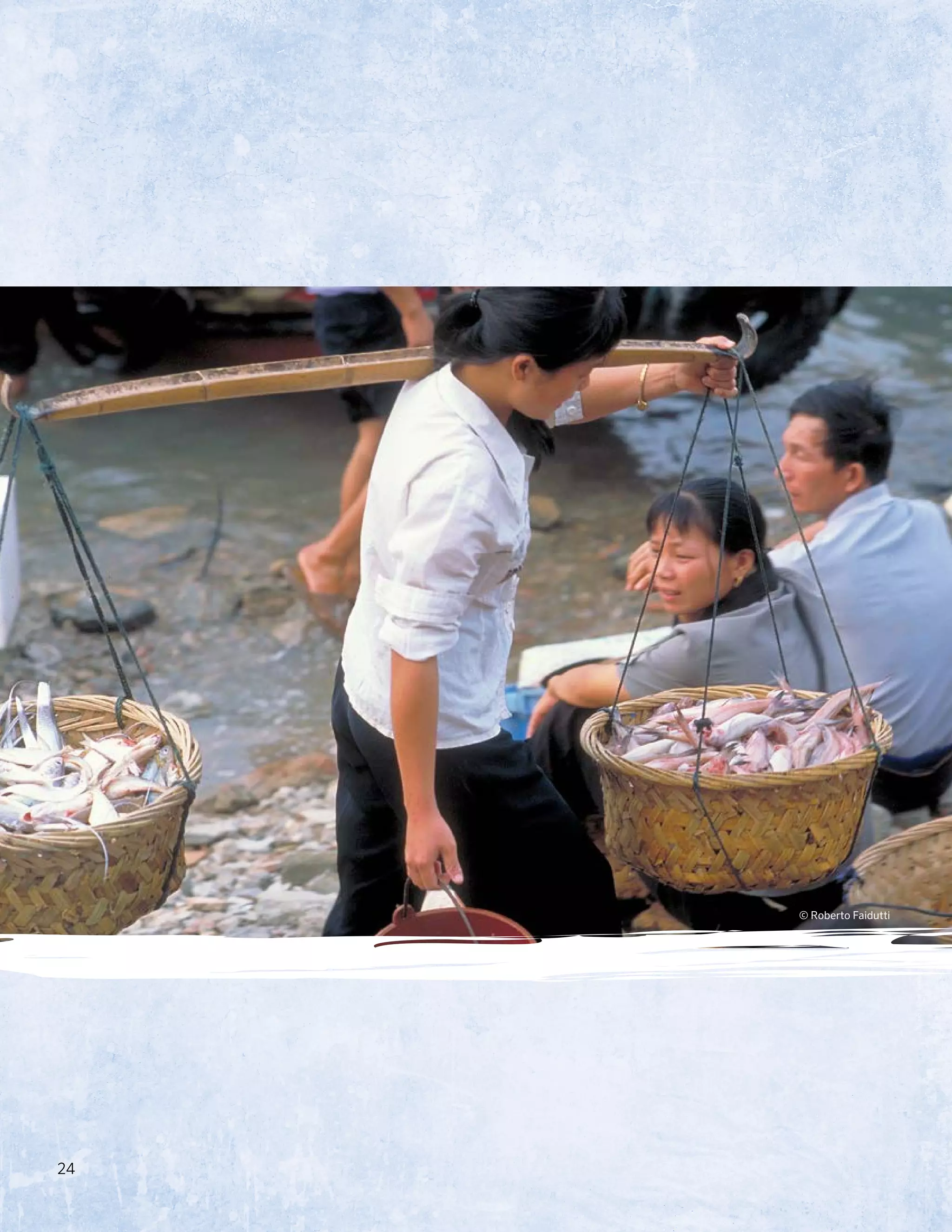 24
© Roberto Faidutti
 