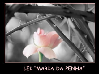 LEI “MARIA DA PENHA” 