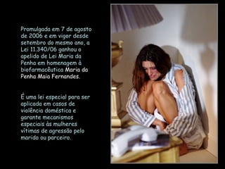 Promulgada em 7 de agosto de 2006 e em vigor desde setembro do mesmo ano, a Lei 11.340/06 ganhou o apelido de Lei Maria da Penha em homenagem à biofarmacêutica  Maria da Penha Maia Fernandes.  É uma lei especial para ser aplicada em casos de violência doméstica e garante mecanismos especiais às mulheres vítimas de agressão pelo marido ou parceiro. 