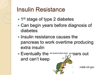 Insulin Resistance
 1st stage of type 2 diabetes
 Can begin years before diagnosis of
diabetes
 Insulin resistance causes the
pancreas to work overtime producing
extra insulin
 Eventually the pancreas wears out
and can’t keep up
niddk.nih.gov
 