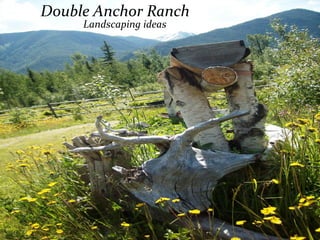 Double Anchor Ranch
Landscaping ideas
 