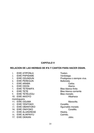 CAPITULO V
RELACION DE LAS HIERBAS DE IFA Y CANTOS PARA HACER OSAIN.
1. EWE ATIPONLA Toston.
2. EWE PAPISAME Verdolaga.
3. EWE ODUNDUN Prodigiosa o siempre viva.
4. EWE PEREGUN Balloneta.
5. EWE ARABA Ceiba.
6. EWE ODON Alamo.
7. EWE TETENIIFA Bleo blanco finito
8. EWE TETE Bleo blanco corriente
9. EWE TETELEGU Bleo morado.
10. EWE AKIOYO Albahaca
mondoguera.
11. EWE OGUMA Maravilla.
12. EWE YENTOKO Coralillo.
13. EWE OBANYOKO Aguinaldo morado
14. EWE ONIYOKO Coralillo.
15. EWE ALUKERESE Hiedra.
16. EWE ALIKPAIYU Caimito.
17. EWE OKIKAN Jobo.
35
 