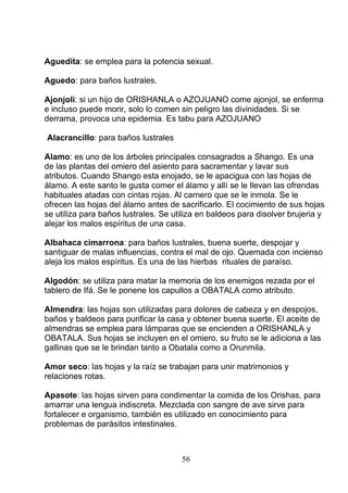 Aguedita: se emplea para la potencia sexual.
Aguedo: para baños lustrales.
Ajonjoli: si un hijo de ORISHANLA o AZOJUANO come ajonjol, se enferma
e incluso puede morir, solo lo comen sin peligro las divinidades. Si se
derrama, provoca una epidemia. Es tabu para AZOJUANO
Alacrancillo: para baños lustrales
Alamo: es uno de los árboles principales consagrados a Shango. Es una
de las plantas del omiero del asiento para sacramentar y lavar sus
atributos. Cuando Shango esta enojado, se le apacigua con las hojas de
álamo. A este santo le gusta comer el álamo y allí se le llevan las ofrendas
habituales atadas con cintas rojas. Al carnero que se le inmola. Se le
ofrecen las hojas del álamo antes de sacrificarlo. El cocimiento de sus hojas
se utiliza para baños lustrales. Se utiliza en baldeos para disolver brujeria y
alejar los malos espíritus de una casa.
Albahaca cimarrona: para baños lustrales, buena suerte, despojar y
santiguar de malas influencias, contra el mal de ojo. Quemada con incienso
aleja los malos espíritus. Es una de las hierbas rituales de paraíso.
Algodón: se utiliza para matar la memoria de los enemigos rezada por el
tablero de Ifá. Se le ponene los capullos a OBATALA como atributo.
Almendra: las hojas son utilizadas para dolores de cabeza y en despojos,
baños y baldeos para purificar la casa y obtener buena suerte. El aceite de
almendras se emplea para lámparas que se encienden a ORISHANLA y
OBATALA. Sus hojas se incluyen en el omiero, su fruto se le adiciona a las
gallinas que se le brindan tanto a Obatala como a Orunmila.
Amor seco: las hojas y la raíz se trabajan para unir matrimonios y
relaciones rotas.
Apasote: las hojas sirven para condimentar la comida de los Orishas, para
amarrar una lengua indiscreta. Mezclada con sangre de ave sirve para
fortalecer e organismo, también es utilizado en conocimiento para
problemas de parásitos intestinales.
56
 