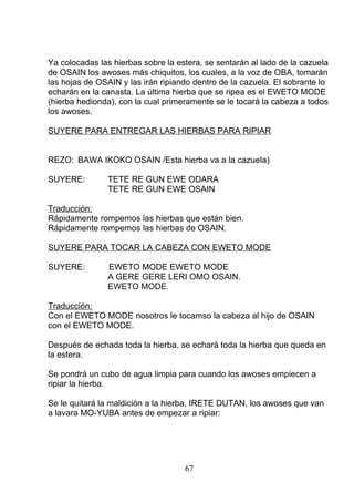 Ya colocadas las hierbas sobre la estera, se sentarán al lado de la cazuela
de OSAIN los awoses más chiquitos, los cuales, a la voz de OBA, tomarán
las hojas de OSAIN y las irán ripiando dentro de la cazuela. El sobrante lo
echarán en la canasta. La última hierba que se ripea es el EWETO MODE
(hierba hedionda), con la cual primeramente se le tocará la cabeza a todos
los awoses.
SUYERE PARA ENTREGAR LAS HIERBAS PARA RIPIAR
REZO: BAWA IKOKO OSAIN /Esta hierba va a la cazuela)
SUYERE: TETE RE GUN EWE ODARA
TETE RE GUN EWE OSAIN
Traducción:
Rápidamente rompemos las hierbas que están bien.
Rápidamente rompemos las hierbas de OSAIN.
SUYERE PARA TOCAR LA CABEZA CON EWETO MODE
SUYERE: EWETO MODE EWETO MODE
A GERE GERE LERI OMO OSAIN.
EWETO MODE.
Traducción:
Con el EWETO MODE nosotros le tocamso la cabeza al hijo de OSAIN
con el EWETO MODE.
Después de echada toda la hierba, se echará toda la hierba que queda en
la estera.
Se pondrá un cubo de agua limpia para cuando los awoses empiecen a
ripiar la hierba.
Se le quitará la maldición a la hierba, IRETE DUTAN, los awoses que van
a lavara MO-YUBA antes de empezar a ripiar:
67
 