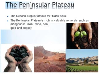 •
J
■ The Deccan Trap is famous for black soils.
■ The Peninsular Plateau is rich in valuable minerals such as
manganese, iron, mica, coal,
gold and copper.
 