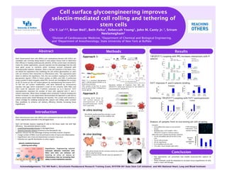 Cell surface glycoengineering improves
selectin-mediated cell rolling and tethering of
stem cells
Chi Y. Lo1,2,3, Brian Weil1, Beth Palka1, Rebeccah Young1, John M. Canty Jr. 1, Sriram
Neelamegham2
1Division of Cardiovascular Medicine, 2Department of Chemical and Biological Engineering,
and 3Department of Anesthesiology; State University of New York at Buffalo
Abstract
Introduction
Both	
  mesenchymal	
  stem	
  cells	
  (MSCs)	
  and	
  cardiosphere-­‐derived	
  cells	
  (CDCs)	
  are	
  
candidate	
  cells	
  currently	
  being	
  tested	
  in	
  early	
  phase	
  clinical	
  trials	
  to	
  determine	
  
their	
  eﬃcacy	
  in	
  trea>ng	
  cardiovascular	
  ailments.	
  Of	
  the	
  current	
  stem	
  cell	
  delivery	
  
routes	
  for	
  cardiac	
  applica>ons,	
  vascular	
  injec>on	
  has	
  the	
  advantage	
  that	
  the	
  cells	
  
have	
   good	
   access	
   to	
   nutrients	
   which	
   increases	
   survival	
   compared	
   with	
  
intramyocardial	
  injec>on.	
  However,	
  there	
  is	
  low	
  cell	
  reten>on	
  in	
  the	
  heart;	
  thus,	
  
we	
  tested	
  the	
  hypothesis	
  that	
  modifying	
  the	
  cell	
  surface	
  glycosyla>on	
  on	
  stem	
  
cells	
  can	
  enhance	
  their	
  interac>on	
  to	
  inﬂammatory	
  sites.	
  Two	
  approaches	
  were	
  
taken	
  to	
  address	
  the	
  hypothesis.	
  First,	
  the	
  non-­‐covalent	
  coupling	
  of	
  a	
  P-­‐selec>n	
  
glycoprotein	
   ligand-­‐1	
   (PSGL-­‐1)	
   fusion	
   protein	
   to	
   MSCs	
   and	
   CDCs	
   is	
   performed	
  
using	
  a	
  protein	
  G	
  lipid	
  conjugate	
  called	
  PPG.	
  Second,	
  we	
  inves>gated	
  the	
  increase	
  
of	
  α(1,3)	
  fucose	
  on	
  the	
  cell	
  surface	
  glycans	
  by	
  overexpressing	
  the	
  enzyme	
  FUT7.	
  
To	
   test	
   the	
   cell	
   surface	
   modiﬁca>on,	
   cells	
   were	
   delivered	
   by	
   intracoronary	
  
injec>on	
   into	
   pigs,	
   which	
   underwent	
   a	
   brief	
   10	
   min	
   ischemia.	
   Both	
   MSCs	
   and	
  
CDCs	
   could	
   be	
   captured	
   onto	
   P-­‐selec>n	
   substrates	
   up	
   to	
   6	
   dyn/cm2.	
   FUT7	
  
overexpression	
   improved	
   the	
   number	
   of	
   stem	
   cells	
   captured	
   onto	
   P-­‐	
   and	
   E-­‐
selec>n	
  substrates.	
  When	
  these	
  strategies	
  were	
  combined,	
  P-­‐selec>n	
  binding	
  was	
  
further	
  increased.	
  In	
  vivo	
  experiments	
  demonstrated	
  the	
  approach	
  is	
  safe	
  and	
  no	
  
adverse	
  events	
  were	
  noted	
  following	
  cell	
  injec>on.	
  The	
  current	
  work	
  presents	
  a	
  
robust	
   strategy	
   for	
   enabling	
   leukocyte-­‐like	
   capture	
   and	
   rolling	
   under	
   constant	
  
ﬂow	
   condi>ons	
   to	
   enhance	
   cell	
   delivery	
   eﬃciency	
   thereby	
   increasing	
   >ssue	
  
engra]ment.	
  
Methods Results
Selec%n	
  mediated	
  leukocyte	
  
tethering	
  and	
  rolling	
  
Hypothesis:	
   Engineering	
   natural	
  
leukocyte	
   adhesion	
   molecules	
   onto	
  
MSCs	
   and	
   CDCs	
   can	
   enhance	
   cell	
  
homing	
   to	
   sites	
   of	
   injury	
   or	
  
inﬂammatory	
  sites	
  by	
  increasing	
  their	
  
ability	
  to	
  bind	
  endothelial	
  selec?ns.	
  
Both	
  mesenchymal	
  stem	
  cells	
  (MSCs)	
  and	
  cardiosphere-­‐derived	
  cells	
  (CDCs)	
  have	
  
shown	
  regenera>ve	
  poten>al	
  in	
  the	
  damaged	
  heart.	
  	
  
	
  
Stem	
   cell	
   therapy	
   requires	
   targe>ng	
   of	
   cells	
   to	
   the	
   >ssue	
   repair	
   site	
   with	
   high	
  
eﬃciency.	
  	
  Two	
  poten>al	
  delivery	
  routes:	
  
•  Local/intramyocardial	
  infusion	
  to	
  damaged	
  >ssue	
  	
  
•  Systemic/vascular	
  infusion	
  proximal	
  to	
  the	
  therapeu>c	
  site	
  	
  
Systemic	
  infusion	
  has	
  the	
  advantage	
  of	
  being	
  minimally	
  invasive,	
  however:	
  	
  
•  A	
  large	
  number	
  of	
  MSCs	
  must	
  be	
  perfused	
  at	
  sites	
  of	
  injury	
  and	
  inﬂamma>on	
  
•  Engra]ment	
  rate	
  is	
  low	
  and	
  downstream	
  occlusion	
  may	
  occur	
  
•  Poten>al	
  non-­‐speciﬁc	
  distribu>on	
  to	
  other	
  organs	
  
PSGL-­‐1	
   is	
   a	
   mucinous	
   glycoprotein	
  
with	
   a	
   selec>n-­‐ligand	
   located	
   at	
   its	
  
N-­‐terminus	
  (red	
  box).	
  	
  
19Fc	
   consists	
   of	
   the	
   ﬁrst	
   19	
   amino	
  
acids	
  of	
  mature	
  PSGL-­‐1	
  followed	
  by	
  a	
  
human	
  IgG	
  tail.	
  
	
  
PSGL-1:
19Fc:
Glycomics	
   analysis	
   of	
   O-­‐glycans	
   from	
   19Fc	
   and	
  
19Fc[FUT7+]	
   reveal	
   sLeX	
   structure	
   at	
   m/z=1879.8	
   is	
  
only	
  prominent	
  in	
  19Fc[FUT7+].	
  
Approach 1:
Approach 2:
Increasing	
   α(1,3)	
   fucose	
   on	
  
cell	
   surface	
   glycans	
   by	
  
overexpression	
   of	
   three	
  
fucosyltransferases	
   (FUT6,	
  
FUT7,	
  and	
  FUT9)	
  	
  
Microﬂuidic	
  parallel	
  plate	
  ﬂow	
  chamber	
  is	
  used	
  
to	
  access	
  rolling	
  func>on	
  of	
  the	
  modiﬁed	
  cells.	
  
Cells	
  in	
  Cells	
  out	
  
400 µm × 100 µm × 1 cm
In vitro testing:
In vivo testing:
Acknowledgements: T32 NIH Ruth L. Kirschstein Postdoctoral Research Training Grant, NYSTEM (NY State Stem Cell initiative) and NIH (National Heart, Lung and Blood Institute)
•  Cells	
  will	
  be	
  infused	
  into	
  the	
  coronary	
  arteries	
  by	
  a	
  catheter	
  
placed	
  using	
  ﬂuoroscopy	
  
•  Balloon	
  occlusion	
  of	
  the	
  LAD	
  will	
  cause	
  up-­‐regula>on	
  of	
  
selec>ns	
  	
  	
  
Compare	
  	
  
•  Unmodiﬁed	
  CDCs	
  (inject	
  in	
  non-­‐ischemic	
  
artery)	
  
•  Modiﬁed	
  CDCs:	
  FUT7-­‐DsRED	
  +	
  PPG	
  +	
  
19Fc[FUT7+]	
  (inject	
  in	
  ischemic	
  artery)	
  
Male	
  CDCs	
  were	
  injected	
  into	
  female	
  recipients	
  
•  16	
  mil	
  unmodiﬁed	
  cells	
  (8	
  into	
  RCA,	
  8	
  into	
  
LCX)	
  
•  10	
  min	
  LAD	
  occlusion	
  
•  30	
  min	
  reperfusion	
  
•  8	
  mil	
  modiﬁed	
  cells	
  into	
  LAD	
  	
  
•  3	
  hrs	
  later,	
  >ssue	
  samples	
  were	
  taken	
  
Bonow,	
  Robert	
  O.	
  et	
  al.,	
  
“Braunwald’s	
  Heart	
  Disease.”	
  9th	
  
ed.	
  Philadelphia,	
  PA:	
  Elsevier,	
  
2012.	
  
19Fc[FUT7+] coupling with PPG increases interactions with P-
selectin
Conclusion
FUT7 improves P- and E-selectin binding
Combining 19Fc[FUT7+] coupling with FUT7 overexpression
Analysis of samples from in vivo testing are still on-going…
Lo	
  et	
  al.	
  Biomaterials,	
  2013	
  Nov.	
  34(33):	
  8213-­‐22.	
  	
  
Y-­‐FISH	
  staining	
  on	
  
male	
  >ssue	
  –	
  57%	
  
posi>ve	
  staining	
  
Genomic	
  
DNA	
  
quan>ta>ve	
  
PCR	
  
•  Two approaches are presented that enable leukocyte-like capture to
selectins.
•  These methods could be employed to increase tissue engraftment of cells
used in stem cell therapy.
 