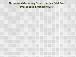 Numerous Marketing Opportunities Exist For
Prospective Entrepreneurs
 