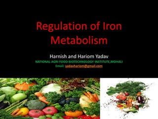 Regulation of Iron
Metabolism
Harnish and Hariom Yadav
NATIONAL AGRI FOOD BIOTECHNOLOGY INSTITUTE,MOHALI
Email: yadavhariom@gmail.com
 