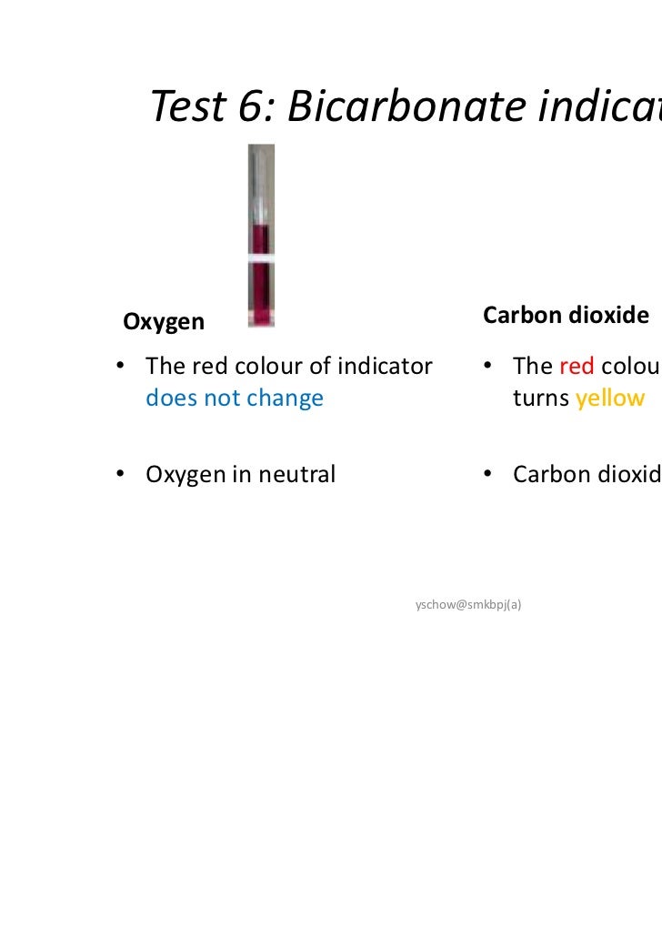 form1sciencechapter5part1