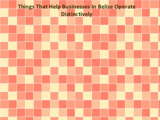 Things That Help Businesses In Belize Operate
Distinctively
 