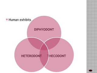 49458563-OGY-AND-MORPHOLjhbhjgbjhgnTITION.pptx