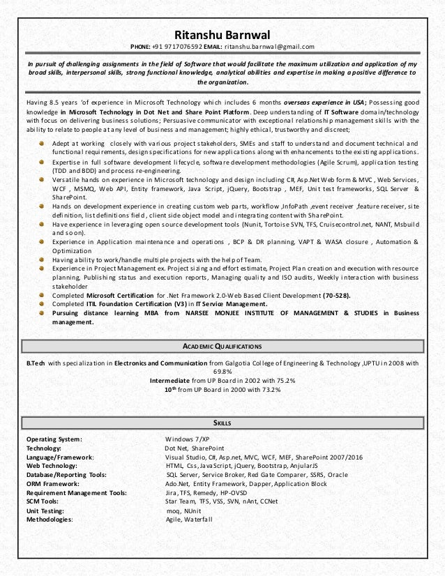 technology lead resume