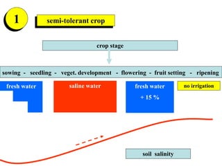 saline water
sowing - seedling - veget. development - flowering - fruit setting - ripening
no irrigation
soil salinity
1
c...