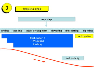 3 sensitive crop
crop stage
sowing - seedling - veget. development - flowering - fruit setting - ripening
no irrigation
fr...