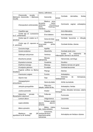 branco, café-bravo 
Chamomilla recutita = 
Matricaria chamomilla = Matricaria 
recutita 
Camomila Combate dermatites, feridas 
banais 
Chenopodium ambrosioides 
Mastruz, erva-de- 
santa- maria, 
ambrosia, erva-de-bicho, 
mastruço, 
menstrus 
Corrimento vaginal, antisséptico 
local 
Copaifera spp Copaíba Anti-inflamatório 
Cordia spp (C. curassavica 
ou C. verbenacea) Erva baleeira Anti-inflamatório 
Costus spp (C. scaber ou C. 
Combate leucorreia e infecção 
spicatus) Cana-do-brejo renal 
Croton spp (C. cajucara ou 
C. zehntneri) 
Alcanforeira, 
erva-mular, pé-de-perdiz 
Combate feridas, úlceras 
Curcuma longa Açafrão 
Cynara scolymus Alcachofra Combate ácido úrico 
Dalbergia subcymosa Verônica Auxiliar no tratamento de 
inflamações uterinas e da.anemia 
Eleutherine plicata Marupa, 
palmeirinha Hemorroida, vermífugo 
Equisetum arvense Cavalinha Diurético 
Erythrina mulungu Mulungu Sistema nervoso em geral 
Eucalyptus globulus Eucalipto Combate leucorreia 
Eugenia uniflora ou Myrtus 
brasiliana Pitanga Diarreia 
Foeniculum vulgare Funcho Antisséptico 
Glycine max Soja Sintomas da menopausa, 
oesteoporose 
Harpagophytum 
procumbens Garra-do-diabo Artrite reumatoide 
Jatropha gossypiifolia Pião-roxo, 
jalapão, batata-de-téu Antisséptico, feridas 
Justicia pectoralis Anador Cortes, afecções nervosas, catarro 
bronquial 
Kalanchoe pinnata = 
Bryophyllum calycinum 
Folha-da-fortuna 
Furúnculos 
Lamium album Urtiga-branca Leucorreia 
Lippia sidoides 
Estrepa cavalo, 
alecrim, alecrim-pimenta 
Malva sylvestris Malva, malva-alta, 
malva-silvestre Furúnculos 
Maytenus spp (M. 
aquifolium ou M. ilicifolia) 
Concorosa, 
combra-de-touro, 
espinheira-santa, 
cancerosa 
Anti-séptica em feridas e úlceras 
 