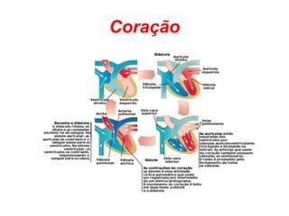 Coração
 