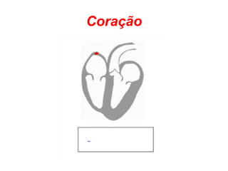Coração
 