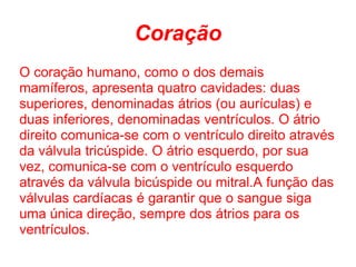 Coração
O coração humano, como o dos demais
mamíferos, apresenta quatro cavidades: duas
superiores, denominadas átrios (ou aurículas) e
duas inferiores, denominadas ventrículos. O átrio
direito comunica-se com o ventrículo direito através
da válvula tricúspide. O átrio esquerdo, por sua
vez, comunica-se com o ventrículo esquerdo
através da válvula bicúspide ou mitral.A função das
válvulas cardíacas é garantir que o sangue siga
uma única direção, sempre dos átrios para os
ventrículos.
 