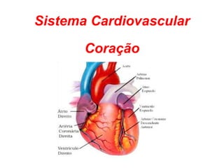 Sistema Cardiovascular

       Coração
 
