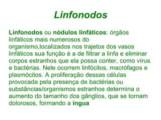 Linfonodos
Linfonodos ou nódulos linfáticos: órgãos
linfáticos mais numerosos do
organismo,localizados nos trajetos dos vasos
linfáticos sua função é a de filtrar a linfa e eliminar
corpos estranhos que ela possa conter, como vírus
e bactérias. Nele ocorrem linfócitos, macrófagos e
plasmócitos. A proliferação dessas células
provocada pela presença de bactérias ou
substâncias/organismos estranhos determina o
aumento do tamanho dos gânglios, que se tornam
dolorosos, formando a íngua
 