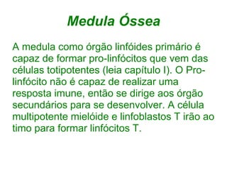 Medula Óssea
A medula como órgão linfóides primário é
capaz de formar pro-linfócitos que vem das
células totipotentes (leia capítulo I). O Pro-
linfócito não é capaz de realizar uma
resposta imune, então se dirige aos órgão
secundários para se desenvolver. A célula
multipotente mielóide e linfoblastos T irão ao
timo para formar linfócitos T.
 