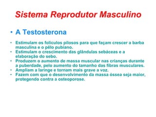 Sistema Reprodutor Masculino A Testosterona Estimulam os folículos pilosos para que façam crescer a barba masculina e o pêlo pubiano.  Estimulam o crescimento das glândulas sebáceas e a elaboração do sebo.  Produzem o aumento de massa muscular nas crianças durante a puberdade, pelo aumento do tamanho das fibras musculares.  Ampliam a laringe e tornam mais grave a voz.  Fazem com que o desenvolvimento da massa óssea seja maior, protegendo contra a osteoporose.   