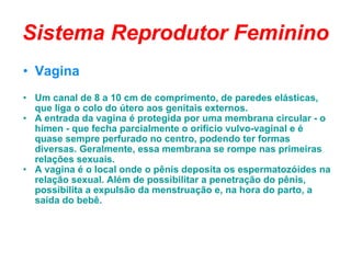 Sistema Reprodutor Feminino Vagina Um canal de 8 a 10 cm de comprimento, de paredes elásticas, que liga o colo do útero aos genitais externos.  A entrada da vagina é protegida por uma membrana circular - o hímen - que fecha parcialmente o orifício vulvo-vaginal e é quase sempre perfurado no centro, podendo ter formas diversas. Geralmente, essa membrana se rompe nas primeiras relações sexuais.  A vagina é o local onde o pênis deposita os espermatozóides na relação sexual. Além de possibilitar a penetração do pênis, possibilita a expulsão da menstruação e, na hora do parto, a saída do bebê. 