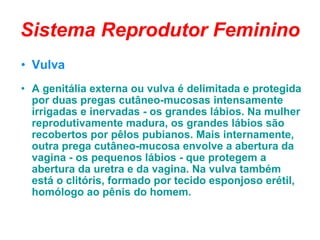 Sistema Reprodutor Feminino Vulva A genitália externa ou vulva é delimitada e protegida por duas pregas cutâneo-mucosas intensamente irrigadas e inervadas - os grandes lábios. Na mulher reprodutivamente madura, os grandes lábios são recobertos por pêlos pubianos. Mais internamente, outra prega cutâneo-mucosa envolve a abertura da vagina - os pequenos lábios - que protegem a abertura da uretra e da vagina. Na vulva também está o clitóris, formado por tecido esponjoso erétil, homólogo ao pênis do homem.  