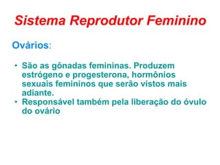 Sistema Reprodutor Feminino Ovários : São as gônadas femininas. Produzem estrógeno e progesterona, hormônios sexuais femininos que serão vistos mais adiante. Responsável também pela liberação do óvulo do ovário 