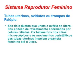 Sistema Reprodutor Feminino Tubas uterinas, ovidutos ou trompas de Falópio :   São dois ductos que unem o ovário ao útero. Seu epitélio de revestimento é formados por células ciliadas. Os batimentos dos cílios microscópicos e os movimentos peristálticos das tubas uterinas impelem o gameta feminino até o útero.   
