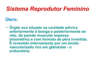 Sistema Reprodutor Feminino Útero:  Órgão oco situado na cavidade pélvica anteriormente à bexiga e posteriormente ao reto, de parede muscular espessa (miométrio) e com formato de pêra invertida.  É revestido internamente por um tecido vascularizado rico em glândulas - o endométrio.  