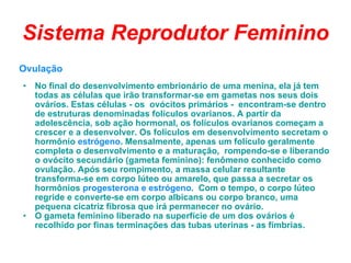 Sistema Reprodutor Feminino Ovulação No final do desenvolvimento embrionário de uma menina, ela já tem todas as células que irão transformar-se em gametas nos seus dois ovários. Estas células - os  ovócitos primários -  encontram-se dentro de estruturas denominadas folículos ovarianos. A partir da adolescência, sob ação hormonal, os folículos ovarianos começam a crescer e a desenvolver. Os folículos em desenvolvimento secretam o hormônio  estrógeno . Mensalmente, apenas um folículo geralmente completa o desenvolvimento e a maturação,  rompendo-se e liberando o ovócito secundário (gameta feminino): fenômeno conhecido como ovulação. Após seu rompimento, a massa celular resultante transforma-se em corpo lúteo ou amarelo, que passa a secretar os hormônios  progesterona e estrógeno .  Com o tempo, o corpo lúteo regride e converte-se em corpo albicans ou corpo branco, uma pequena cicatriz fibrosa que irá permanecer no ovário.  O gameta feminino liberado na superfície de um dos ovários é recolhido por finas terminações das tubas uterinas - as fímbrias.   