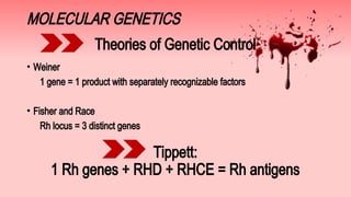 Rh Locus 496421376-Rh-Blood-Group-System slides.pdf