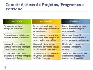Características de Projetos, Programas e Portfólio 