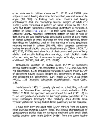 other variations in pattern shown on TU 10170 and 15818; pale
stripes on snout having dark inner borders that join and form acute
angle (TU 381), or lacking dark inner borders and having
uninterrupted dark line connecting anterior margins of orbits (TU
13280); other variations in pattern on snout shown on TU 1232,
1291 and 15819; specimens representing illustrations of variation in
pattern on snout (Fig. 5 d, e, f) all from same locality, Lewisville,
Lafayette County, Arkansas; contrasting pattern on side of head of
dark marks on pale background; contrasting pattern of dark marks
on dorsal surface of limbs; markings on hind limbs generally larger
than those on forelimbs; small or fine markings of some specimens
reducing contrast in pattern (TU 478, 488); carapace sometimes
having few small blackish dots confined to margin (CNHM 15474, TU
487, 1253, 13266); ventral surface of plastron and soft parts of body
whitish and usually lacking dark markings; small blackish marks
often occurring on flap of carapace, in region of bridge, or on chin
and throat (TU 399, 469, 475, 472, 13281).
Ontogenetic variation in PL/HW, mean PL/HW of specimens
having plastral lengths 7.0 centimeters or less, 4.15, and exceeding
7.0 centimeters, 5.32; ontogenetic variation in CL/CW, mean CL/CW
of specimens having plastral lengths 8.5 centimeters or less, 1.10,
and exceeding 8.5 centimeters, 1.14; mean CL/PCW, 2.12; mean
HW/SL, 1.38 (including subspecies guadalupensis); mean CL/PL,
1.36.
Variation.—In 1953, I casually glanced at a hatchling softshell
from the Calcasieu River drainage in the private collection of Mr.
Wilfred T. Neill; the specimen was considered by Neill (1951:15) as
"… an intergradient one (with the hartwegi-spinifer population in the
lower Mississippi drainage)." The hatchling does deviate from
"typical" pallidus in having darkish flecks posteriorly on the carapace.
I have seen only one adult male (USNM 94457) from the Sabine
River drainage (Orange County, Texas) that shows characteristics of
guadalupensis (white dots on carapace encircled with small black
ocelli); another adult male (USNM 94456) from the same locality
 