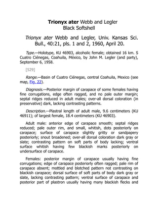 Trionyx ater Webb and Legler
Black Softshell
Trionyx ater Webb and Legler, Univ. Kansas Sci.
Bull., 40:21, pls. 1 and 2, 1960, April 20.
Type.—Holotype, KU 46903, alcoholic female; obtained 16 km. S
Cuatro Ciénegas, Coahuila, México, by John M. Legler (and party),
September 6, 1958.
[529]
Range.—Basin of Cuatro Ciénegas, central Coahuila, Mexico (see
map, Fig. 22).
Diagnosis.—Posterior margin of carapace of some females having
fine corrugations, edge often ragged, and no pale outer margin;
septal ridges reduced in adult males; over-all dorsal coloration (in
preservative) dark, lacking contrasting patterns.
Description.—Plastral length of adult male, 9.6 centimeters (KU
46911); of largest female, 18.4 centimeters (KU 46903).
Adult male: anterior edge of carapace smooth; septal ridges
reduced; pale outer rim, and small, whitish, dots posteriorly on
carapace; surface of carapace slightly gritty or sandpapery
posteriorly; snout broadened; over-all dorsal coloration dark gray or
slate; contrasting pattern on soft parts of body lacking; ventral
surface whitish having few blackish marks posteriorly on
undersurface of carapace.
Females: posterior margin of carapace usually having fine
corrugations; edge of carapace posteriorly often ragged; pale rim of
carapace absent; mottled and blotched pattern not contrasting on
blackish carapace; dorsal surface of soft parts of body dark gray or
slate, lacking contrasting pattern; ventral surface of carapace and
posterior part of plastron usually having many blackish flecks and
 