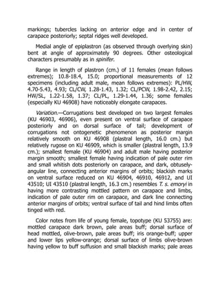 markings; tubercles lacking on anterior edge and in center of
carapace posteriorly; septal ridges well developed.
Medial angle of epiplastron (as observed through overlying skin)
bent at angle of approximately 90 degrees. Other osteological
characters presumably as in spinifer.
Range in length of plastron (cm.) of 11 females (mean follows
extremes); 10.8-18.4, 15.0; proportional measurements of 12
specimens (including adult male, mean follows extremes): PL/HW,
4.70-5.43, 4.93; CL/CW, 1.28-1.43, 1.32; CL/PCW, 1.98-2.42, 2.15;
HW/SL, 1.22-1.58, 1.37; CL/PL, 1.29-1.44, 1.36; some females
(especially KU 46908) have noticeably elongate carapaces.
Variation.—Corrugations best developed on two largest females
(KU 46903, 46906), even present on ventral surface of carapace
posteriorly and on dorsal surface of tail; development of
corrugations not ontogenetic phenomenon as posterior margin
relatively smooth on KU 46908 (plastral length, 16.0 cm.) but
relatively rugose on KU 46909, which is smaller (plastral length, 13.9
cm.); smallest female (KU 46904) and adult male having posterior
margin smooth; smallest female having indication of pale outer rim
and small whitish dots posteriorly on carapace, and dark, obtusely-
angular line, connecting anterior margins of orbits; blackish marks
on ventral surface reduced on KU 46904, 46910, 46912, and UI
43510; UI 43510 (plastral length, 16.3 cm.) resembles T. s. emoryi in
having more contrasting mottled pattern on carapace and limbs,
indication of pale outer rim on carapace, and dark line connecting
anterior margins of orbits; ventral surface of tail and hind limbs often
tinged with red.
Color notes from life of young female, topotype (KU 53755) are:
mottled carapace dark brown, pale areas buff; dorsal surface of
head mottled, olive-brown, pale areas buff; iris orange-buff; upper
and lower lips yellow-orange; dorsal surface of limbs olive-brown
having yellow to buff suffusion and small blackish marks; pale areas
 