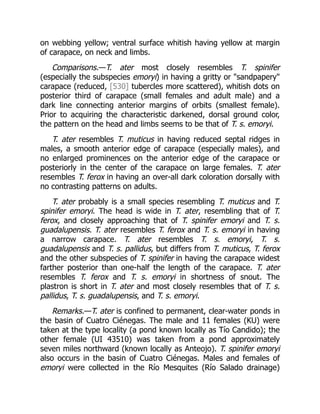 on webbing yellow; ventral surface whitish having yellow at margin
of carapace, on neck and limbs.
Comparisons.—T. ater most closely resembles T. spinifer
(especially the subspecies emoryi) in having a gritty or "sandpapery"
carapace (reduced, [530] tubercles more scattered), whitish dots on
posterior third of carapace (small females and adult male) and a
dark line connecting anterior margins of orbits (smallest female).
Prior to acquiring the characteristic darkened, dorsal ground color,
the pattern on the head and limbs seems to be that of T. s. emoryi.
T. ater resembles T. muticus in having reduced septal ridges in
males, a smooth anterior edge of carapace (especially males), and
no enlarged prominences on the anterior edge of the carapace or
posteriorly in the center of the carapace on large females. T. ater
resembles T. ferox in having an over-all dark coloration dorsally with
no contrasting patterns on adults.
T. ater probably is a small species resembling T. muticus and T.
spinifer emoryi. The head is wide in T. ater, resembling that of T.
ferox, and closely approaching that of T. spinifer emoryi and T. s.
guadalupensis. T. ater resembles T. ferox and T. s. emoryi in having
a narrow carapace. T. ater resembles T. s. emoryi, T. s.
guadalupensis and T. s. pallidus, but differs from T. muticus, T. ferox
and the other subspecies of T. spinifer in having the carapace widest
farther posterior than one-half the length of the carapace. T. ater
resembles T. ferox and T. s. emoryi in shortness of snout. The
plastron is short in T. ater and most closely resembles that of T. s.
pallidus, T. s. guadalupensis, and T. s. emoryi.
Remarks.—T. ater is confined to permanent, clear-water ponds in
the basin of Cuatro Ciénegas. The male and 11 females (KU) were
taken at the type locality (a pond known locally as Tío Candido); the
other female (UI 43510) was taken from a pond approximately
seven miles northward (known locally as Anteojo). T. spinifer emoryi
also occurs in the basin of Cuatro Ciénegas. Males and females of
emoryi were collected in the Río Mesquites (Río Salado drainage)
 