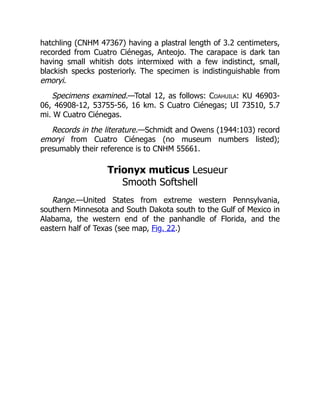 hatchling (CNHM 47367) having a plastral length of 3.2 centimeters,
recorded from Cuatro Ciénegas, Anteojo. The carapace is dark tan
having small whitish dots intermixed with a few indistinct, small,
blackish specks posteriorly. The specimen is indistinguishable from
emoryi.
Specimens examined.—Total 12, as follows: Coahuila: KU 46903-
06, 46908-12, 53755-56, 16 km. S Cuatro Ciénegas; UI 73510, 5.7
mi. W Cuatro Ciénegas.
Records in the literature.—Schmidt and Owens (1944:103) record
emoryi from Cuatro Ciénegas (no museum numbers listed);
presumably their reference is to CNHM 55661.
Trionyx muticus Lesueur
Smooth Softshell
Range.—United States from extreme western Pennsylvania,
southern Minnesota and South Dakota south to the Gulf of Mexico in
Alabama, the western end of the panhandle of Florida, and the
eastern half of Texas (see map, Fig. 22.)
 