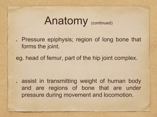 Anatomy (continued)
Pressure epiphysis; region of long bone that
forms the joint.
eg. head of femur, part of the hip joint complex.
assist in transmitting weight of human body
and are regions of bone that are under
pressure during movement and locomotion.
 