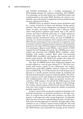 Viral Vectors For Gene Therapy Methods And Protocols 1st Ed Fredric P ...