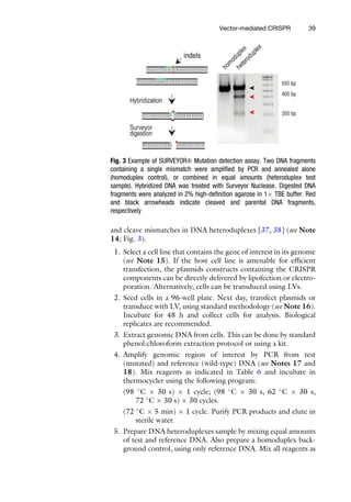 Viral Vectors For Gene Therapy Methods And Protocols 1st Ed Fredric P ...