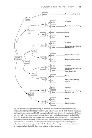 SAMPLING INSECTS FROM ROOTS 31
Identify
the insect
Adult
visible
Collembola
Chewer
Sucker
Tipulid
Other
Lab.
Lab.
Lab.
Lab.
Field
Field
Field
Field
Field
Quick
Quick
Quick
Quick
Quick
Quick
Quick
Quick
Slow
Slow
Slow
Slow
Slow
Slow
Slow
Slow
Traps, scouting, baits
Tullgren
Flotation, wet-sieving
None
None
Tullgren
Flotation, wet-sieving,
hand-sorting
Chemical expulsion
Hand-sorting, sieving
Tullgren
Flotation, wet-sieving,
hand-sorting,
root dissection
None
Baits, hand-sorting,
sieving
Tullgren
Flotation, wet-sieving,
hand-sorting
None
Hand-sorting
Fig. 2.8 Schematic diagram showing the decisions that need to be taken to decide on a
particular sampling method appropriate for any subterranean insect. First, identify the insect;
having done so, the nature of its life history (sucker, chewer, etc.) needs to determined. Then,
one must ask if the extraction procedure will take place in the laboratory (lab.) or field. The
final step is to decide whether answers are required with relative ease (quick), perhaps at the
expense of complete accuracy, or whether some time can be devoted to the procedure, to
ensure that is as accurate as possible (slow). Each extraction procedure, with respective
advantages and disadvantages, is described in the text. For some groups in some situations
(e.g. Collembola in the field) there is no realistic method available.
 