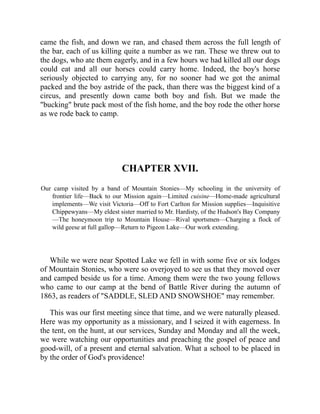 came the fish, and down we ran, and chased them across the full length of
the bar, each of us killing quite a number as we ran. These we threw out to
the dogs, who ate them eagerly, and in a few hours we had killed all our dogs
could eat and all our horses could carry home. Indeed, the boy's horse
seriously objected to carrying any, for no sooner had we got the animal
packed and the boy astride of the pack, than there was the biggest kind of a
circus, and presently down came both boy and fish. But we made the
"bucking" brute pack most of the fish home, and the boy rode the other horse
as we rode back to camp.
CHAPTER XVII.
Our camp visited by a band of Mountain Stonies—My schooling in the university of
frontier life—Back to our Mission again—Limited cuisine—Home-made agricultural
implements—We visit Victoria—Off to Fort Carlton for Mission supplies—Inquisitive
Chippewyans—My eldest sister married to Mr. Hardisty, of the Hudson's Bay Company
—The honeymoon trip to Mountain House—Rival sportsmen—Charging a flock of
wild geese at full gallop—Return to Pigeon Lake—Our work extending.
While we were near Spotted Lake we fell in with some five or six lodges
of Mountain Stonies, who were so overjoyed to see us that they moved over
and camped beside us for a time. Among them were the two young fellows
who came to our camp at the bend of Battle River during the autumn of
1863, as readers of "SADDLE, SLED AND SNOWSHOE" may remember.
This was our first meeting since that time, and we were naturally pleased.
Here was my opportunity as a missionary, and I seized it with eagerness. In
the tent, on the hunt, at our services, Sunday and Monday and all the week,
we were watching our opportunities and preaching the gospel of peace and
good-will, of a present and eternal salvation. What a school to be placed in
by the order of God's providence!
 