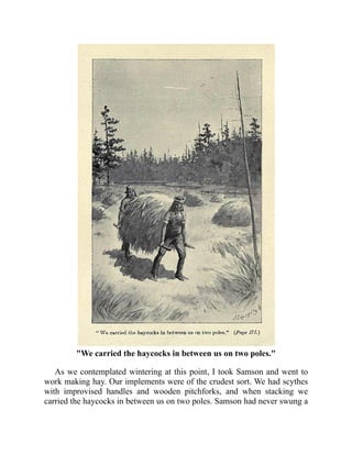 "We carried the haycocks in between us on two poles."
As we contemplated wintering at this point, I took Samson and went to
work making hay. Our implements were of the crudest sort. We had scythes
with improvised handles and wooden pitchforks, and when stacking we
carried the haycocks in between us on two poles. Samson had never swung a
 