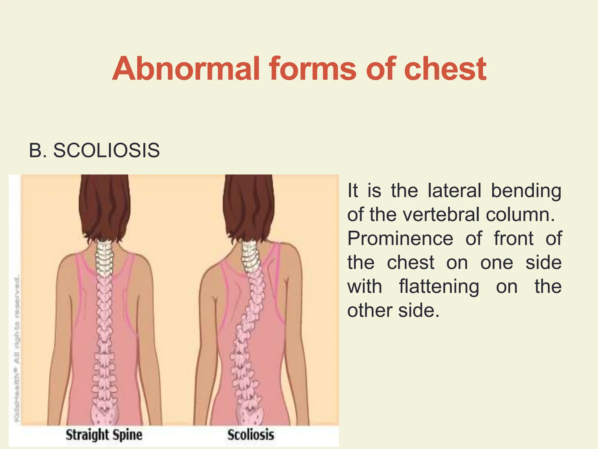 498485741-Respiratory-System-Examination.pptx
