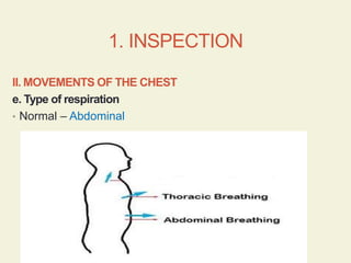 498485741-Respiratory-System-Examination.pptx
