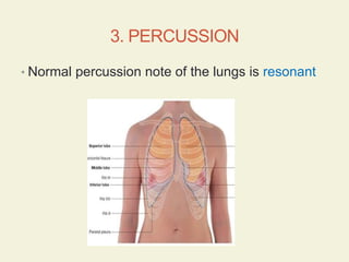 498485741-Respiratory-System-Examination.pptx
