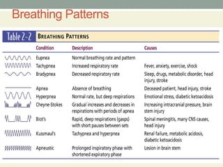 498485741-Respiratory-System-Examination.pptx